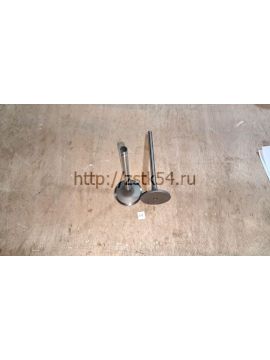 Клапан впускной D9