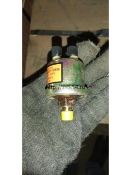 Датчик давления масла в двигателе WD (YG2221G)