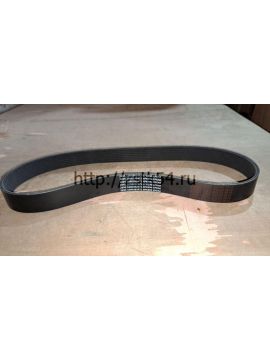 Ремень генератора 8PK890 (1000392472)