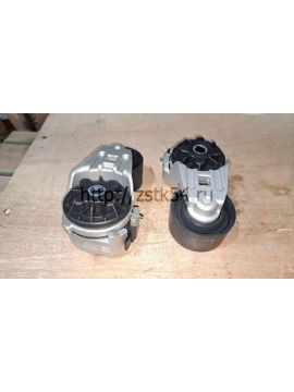 Ролик натяжителя WD240 (612600061256)