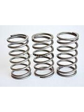 Пружина клапана TD (пара)